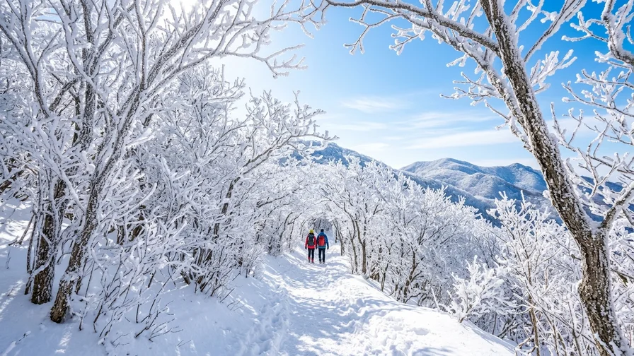 한국 명산 트레킹